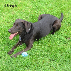 Onyx 2003-2015